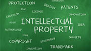 Zimbabwe intellectual property rights investigator